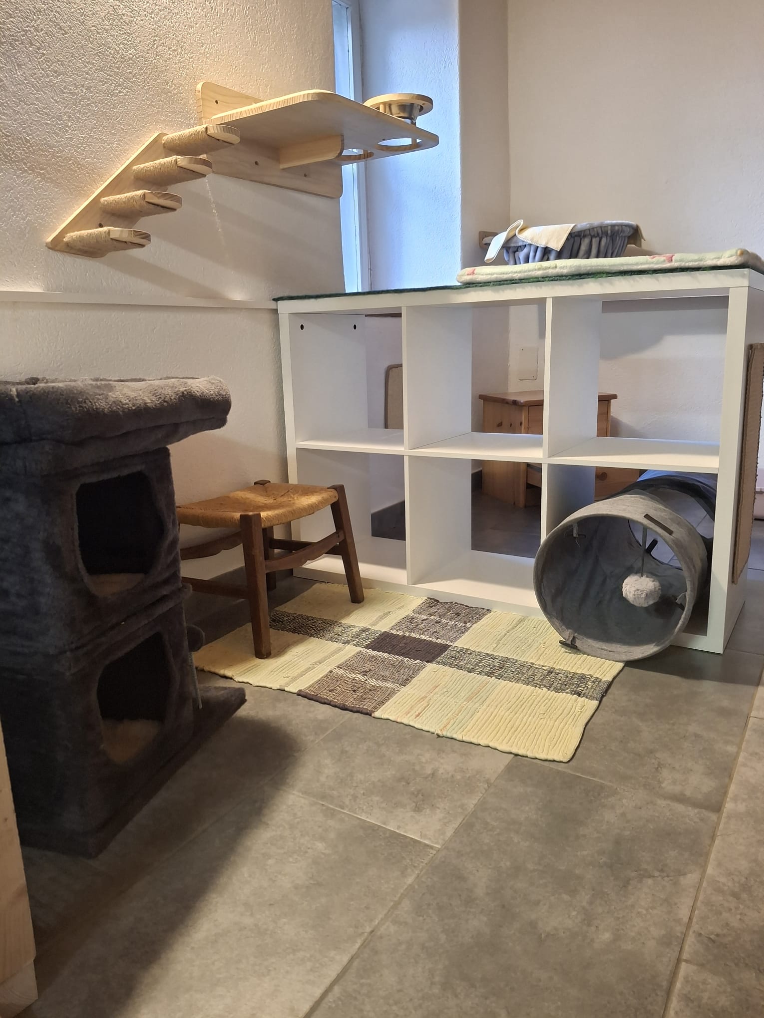 Cozy corner with cat house and play tunnel